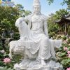 tuong quan am tu tai